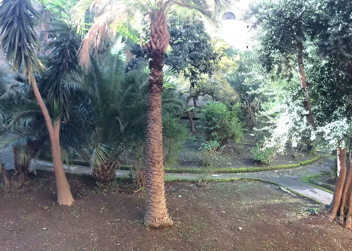 住宿加早餐酒店 克洛里诺特住宿加早餐旅馆 4*